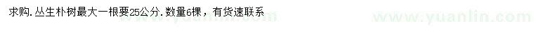 求購(gòu)25公分叢生樸樹
