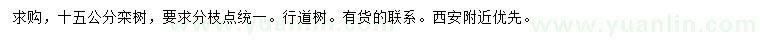 求購15公分欒樹