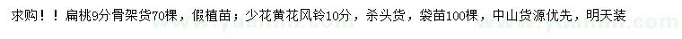 求購9公分扁桃、10公分少花黃花風鈴