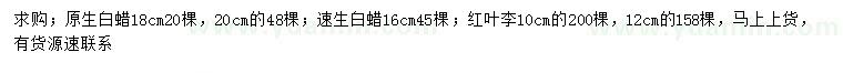 求購(gòu)原生白蠟、速生白蠟、紅葉李