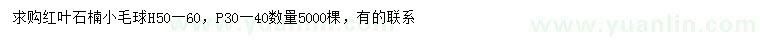 求購冠幅30-40公分紅葉石楠球
