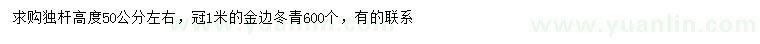 求購高50公分左右金邊冬青