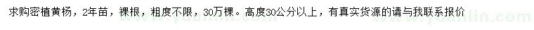 求購(gòu)高30公分以上黃楊