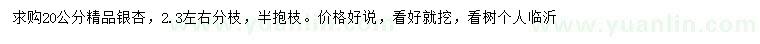 求購(gòu)20公分銀杏