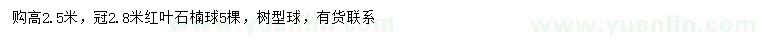 求購冠幅2.8米紅葉石楠球