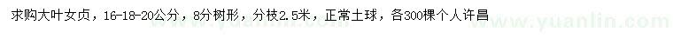 求購16-18-20公分大葉女貞