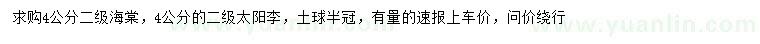 求購4公分海棠、太陽李