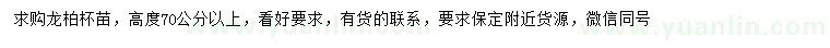 求購(gòu)高70公分以上龍柏