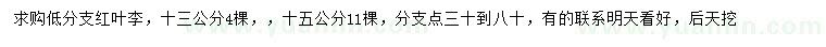 求購13、15公分紅葉李