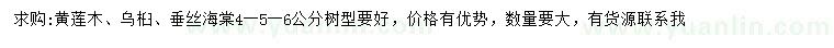 求購黃蓮木、烏桕、垂絲海棠
