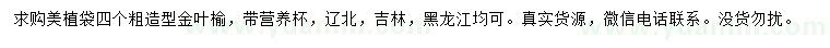 求購4公分造型金葉榆