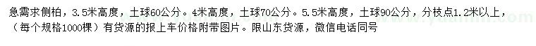 求購高3.5、4、5.5米側(cè)柏