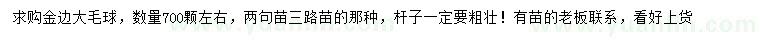 求購金邊黃楊球