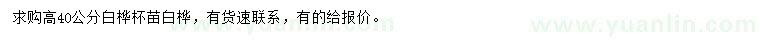 求購高40公分白樺