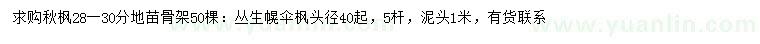 求購(gòu)28-30公分秋楓、頭徑40公分以上叢生幌傘楓
