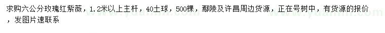 求購6公分玫瑰紅紫薇