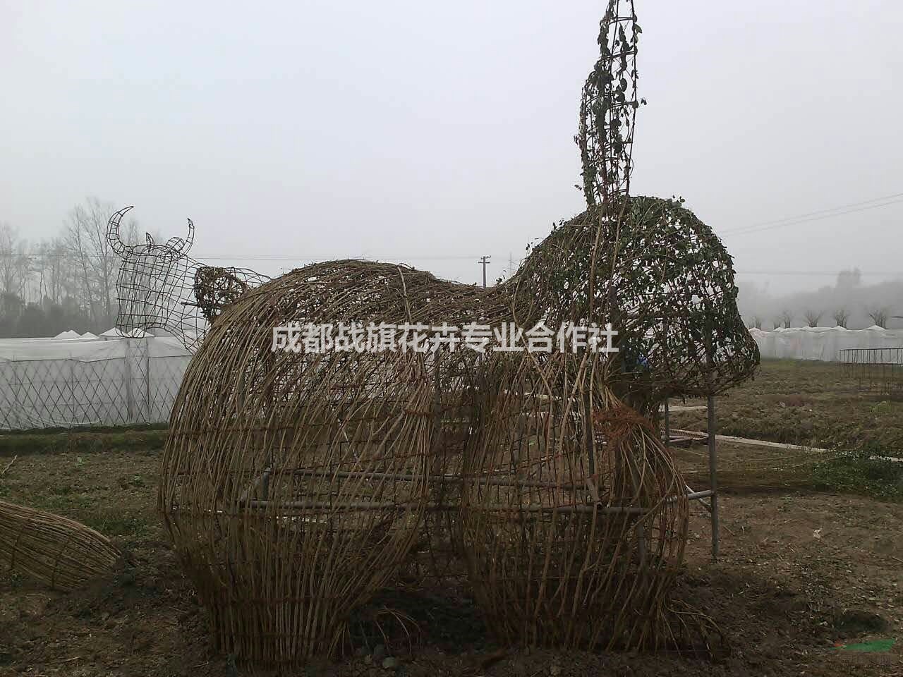 小葉女貞動(dòng)物造型 獨(dú)家動(dòng)物造型基地 四季常綠造型 動(dòng)物造型價(jià)