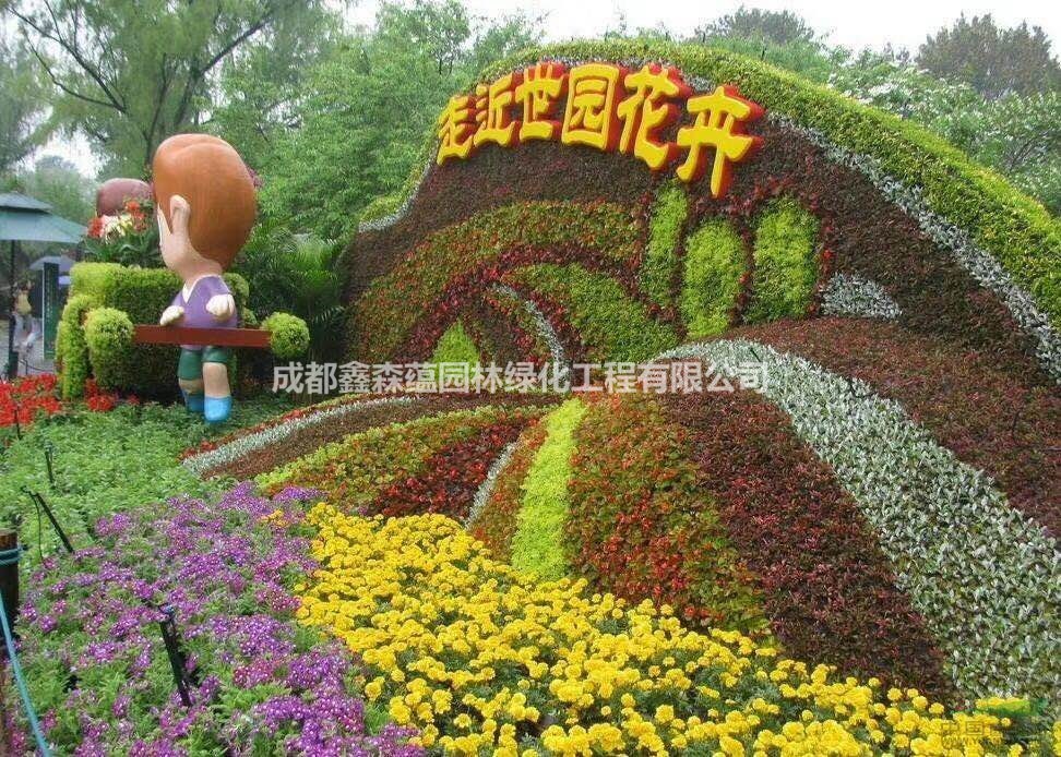 真植物景觀造型 五色草動(dòng)物造型 真植物人物造型