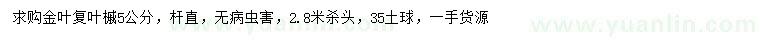 求購5公分金葉復(fù)葉槭