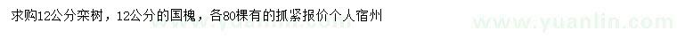 求購12公分欒樹、國(guó)槐