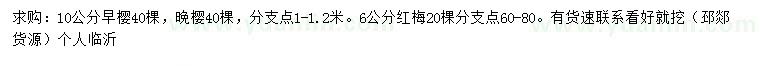 求購10公分早櫻