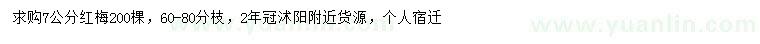 求購7公分紅梅