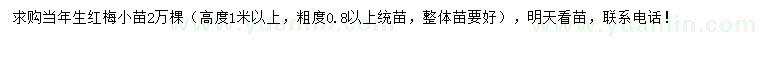 求購(gòu)高1米以上紅梅
