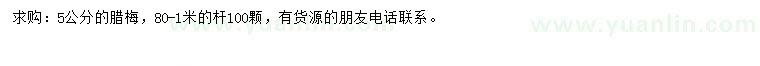 求購5公分臘梅
