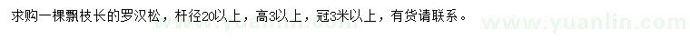求購高3以上羅漢松