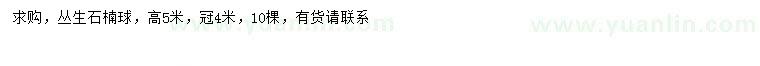 求購冠幅4米叢生石楠球