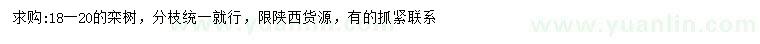 求購18-20公分欒樹