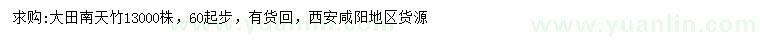 求購60公分以上南天竹