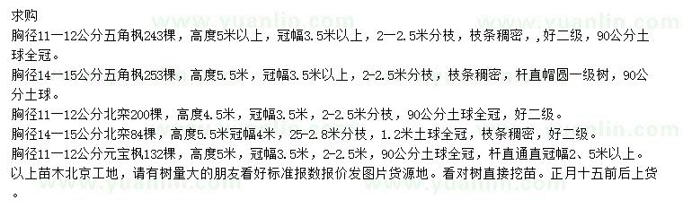 求購(gòu)五角楓、北欒、元寶楓