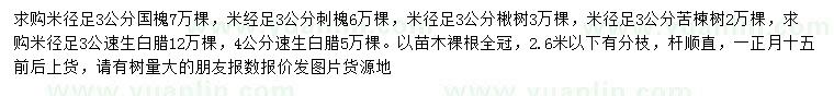 求購國槐、刺槐、楸樹等