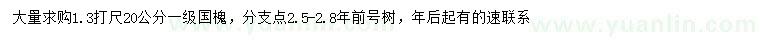 求購20公分國槐