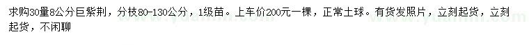 求購30量8公分巨紫荊