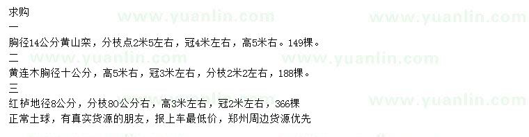 求購黃山欒、黃連木、紅櫨