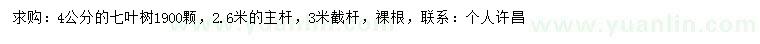 求購4公分七葉樹