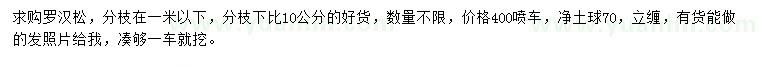 求購(gòu)羅漢松