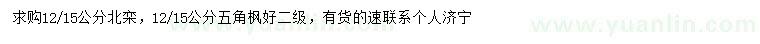 求購12-15公分北欒、五角楓
