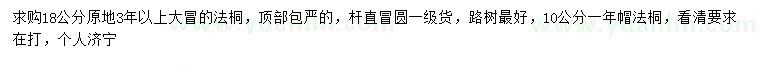 求購18公分法桐