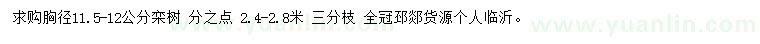 求購胸徑11.5-12公分欒樹