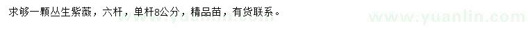 求購8公分紫薇
