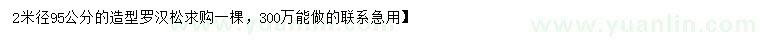 求購米徑95公分羅漢松