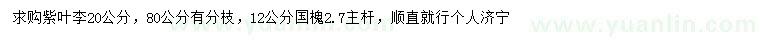 求購紫葉李、國槐