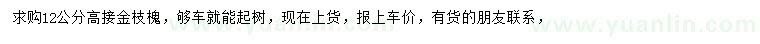 求購12公分金枝槐