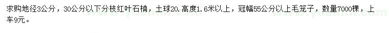 求購地徑3公分紅葉石楠