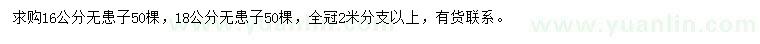求購16公分無(wú)患子