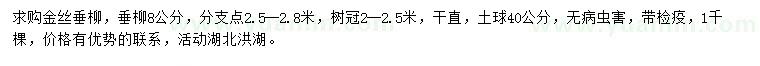 求購8公分金絲垂柳、垂柳