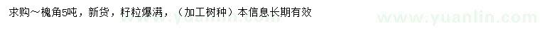 求購槐角